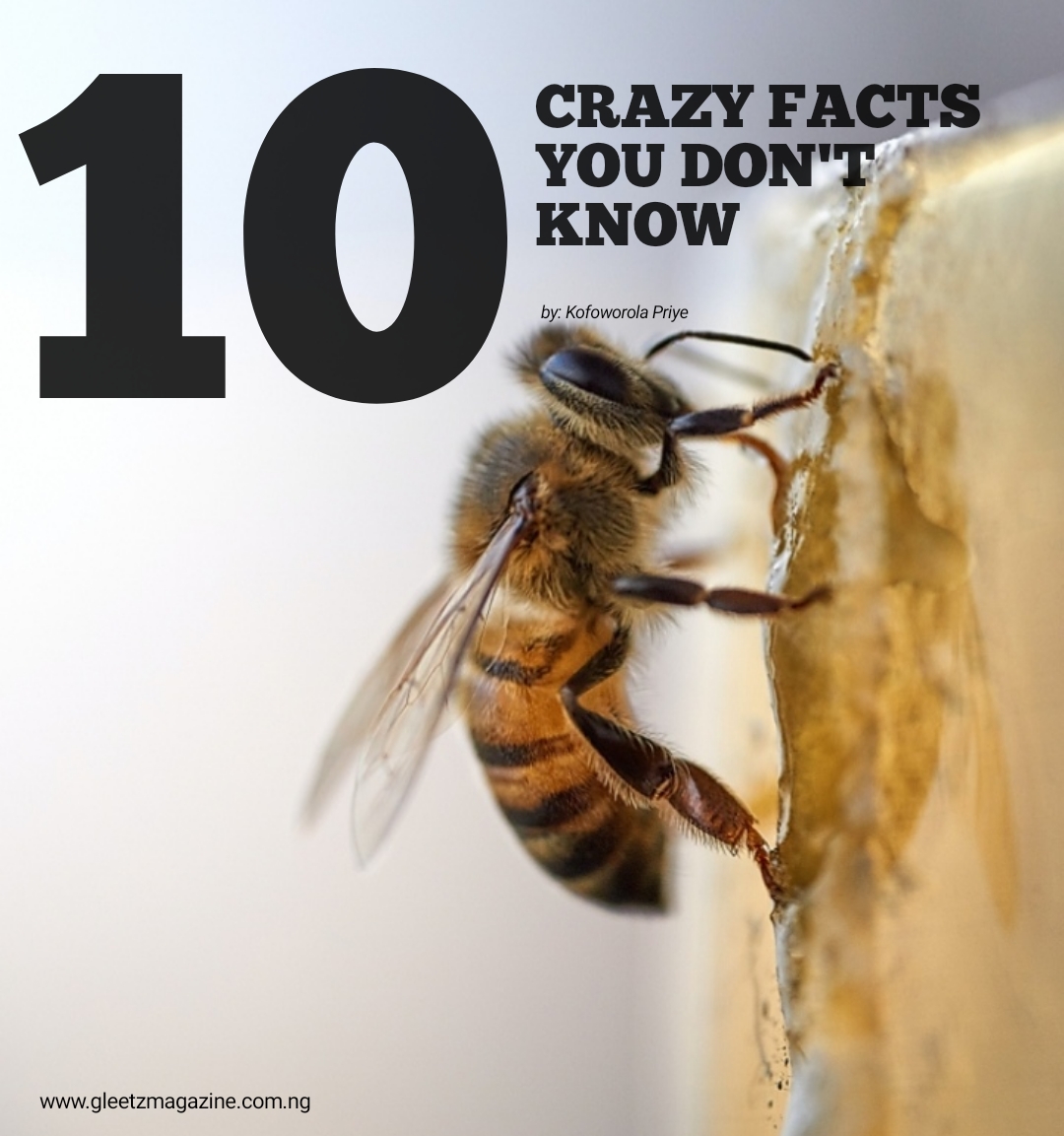 10 Crazy facts you probably don’t know