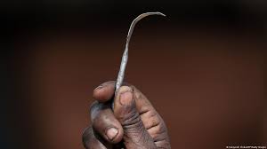 Female Genital Mutilation Bill (Report)